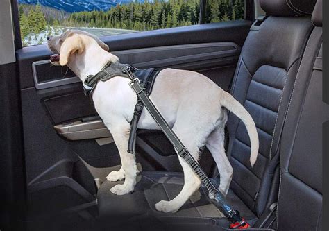subaru dog seat belt